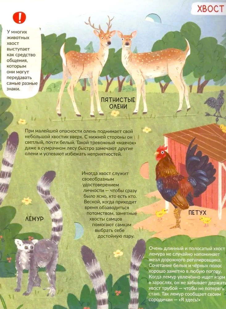 Encyclopedia with Windows. The Tail is Not Simple