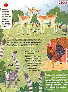 Encyclopedia with Windows. The Tail is Not Simple