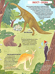 Encyclopedia with Windows. The Tail is Not Simple