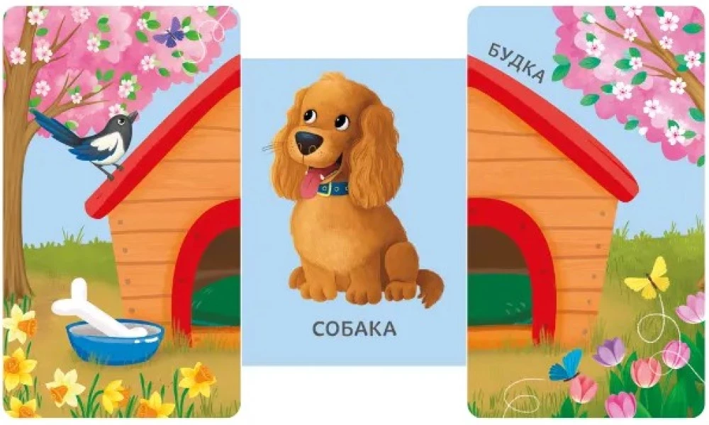 Books - Sliding Books. Whose Little House Is This?