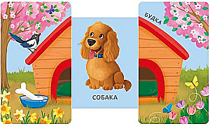 Books - Sliding Books. Whose Little House Is This?