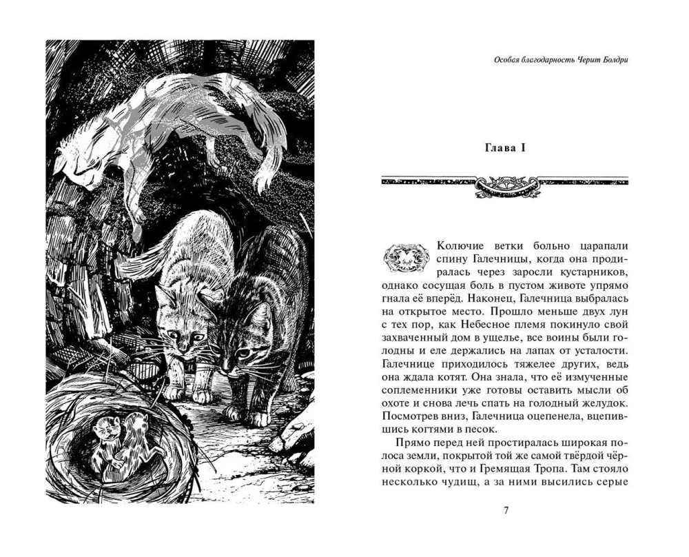 Warriors: Untold Stories. The Secret of Motylinka