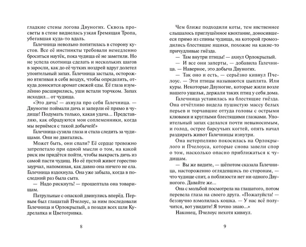 Warriors: Untold Stories. The Secret of Motylinka