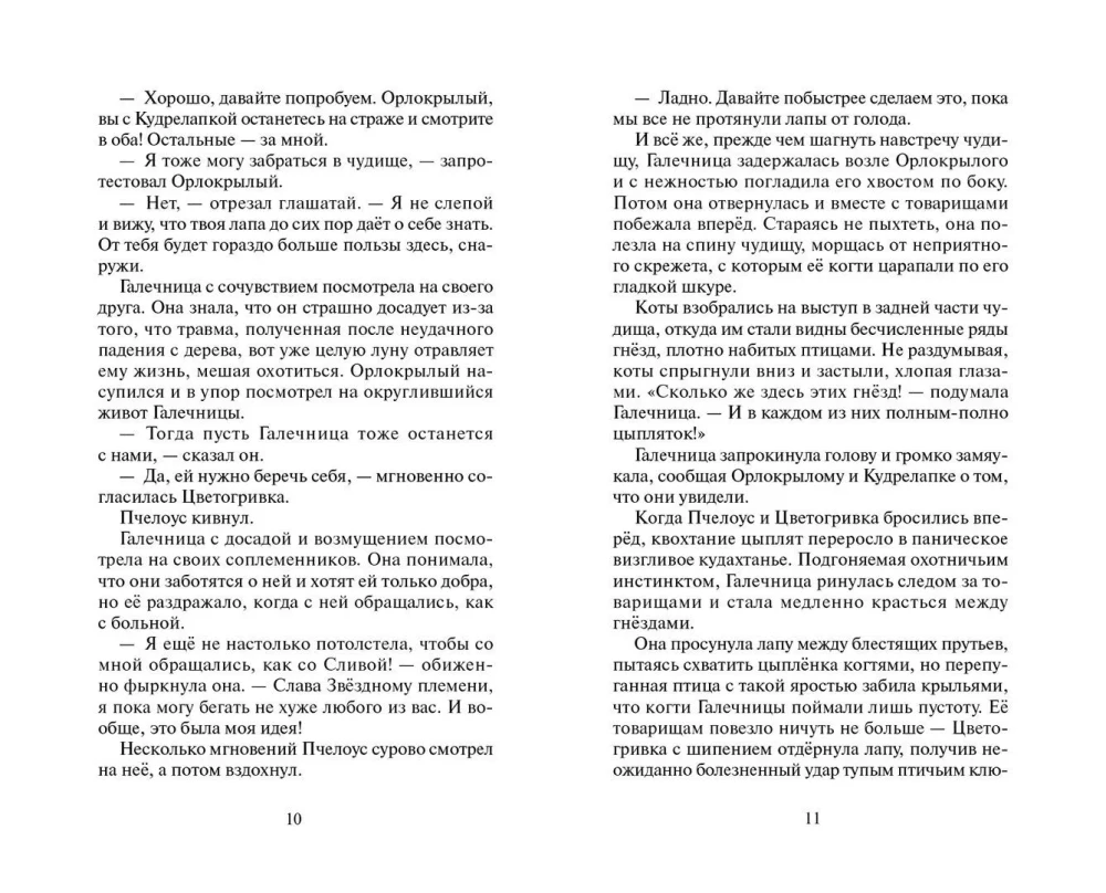 Warriors: Untold Stories. The Secret of Motylinka