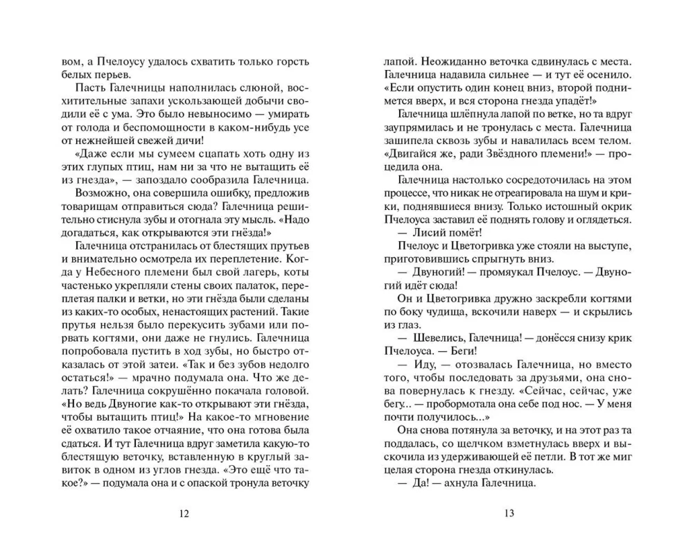 Warriors: Untold Stories. The Secret of Motylinka