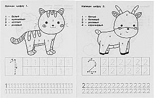 Ćwiczenia pisania. Podręcznik przedszkolaka. Liczby