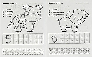 Ćwiczenia pisania. Podręcznik przedszkolaka. Liczby