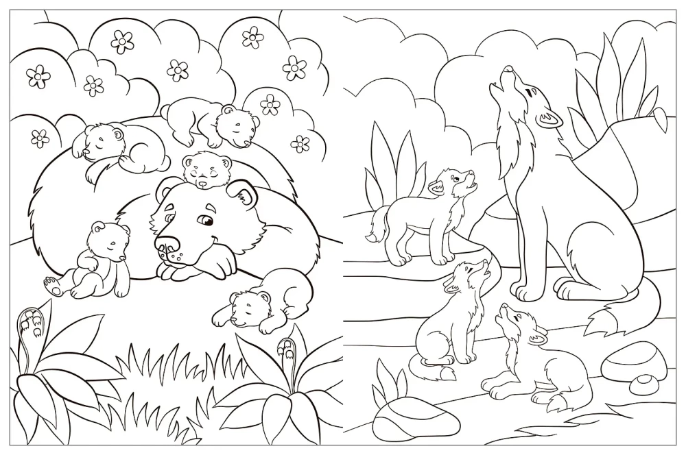 Coloring Books with Stickers. Animals