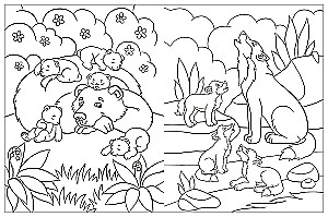 Coloring Books with Stickers. Animals
