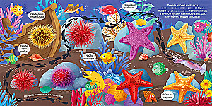 Interesting Bubbles. Underwater World