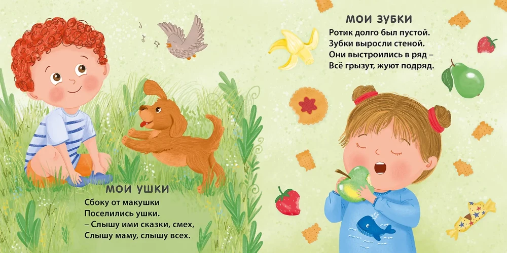 Książka - kartonówka. Moje ciało z lustrem