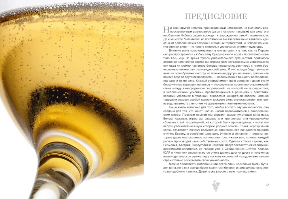 Маленькая книга гурмана. Вино
