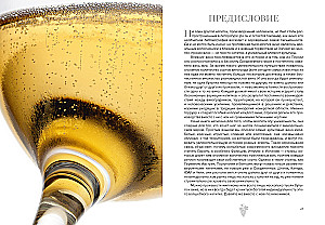 Маленькая книга гурмана. Вино