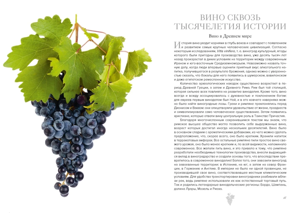 Маленькая книга гурмана. Вино