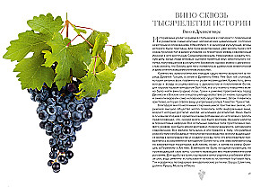 Маленькая книга гурмана. Вино