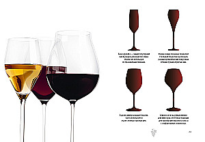 Маленькая книга гурмана. Вино