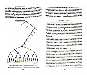 Formuła życia. Sekrety zdrowia i długowieczności
