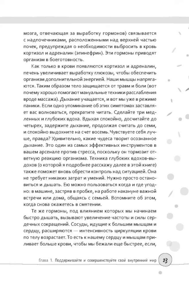 Conscious Beauty: The Habit of Looking and Feeling Your Best