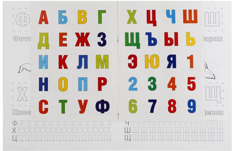 Barboskins. Alphabet and Numbers