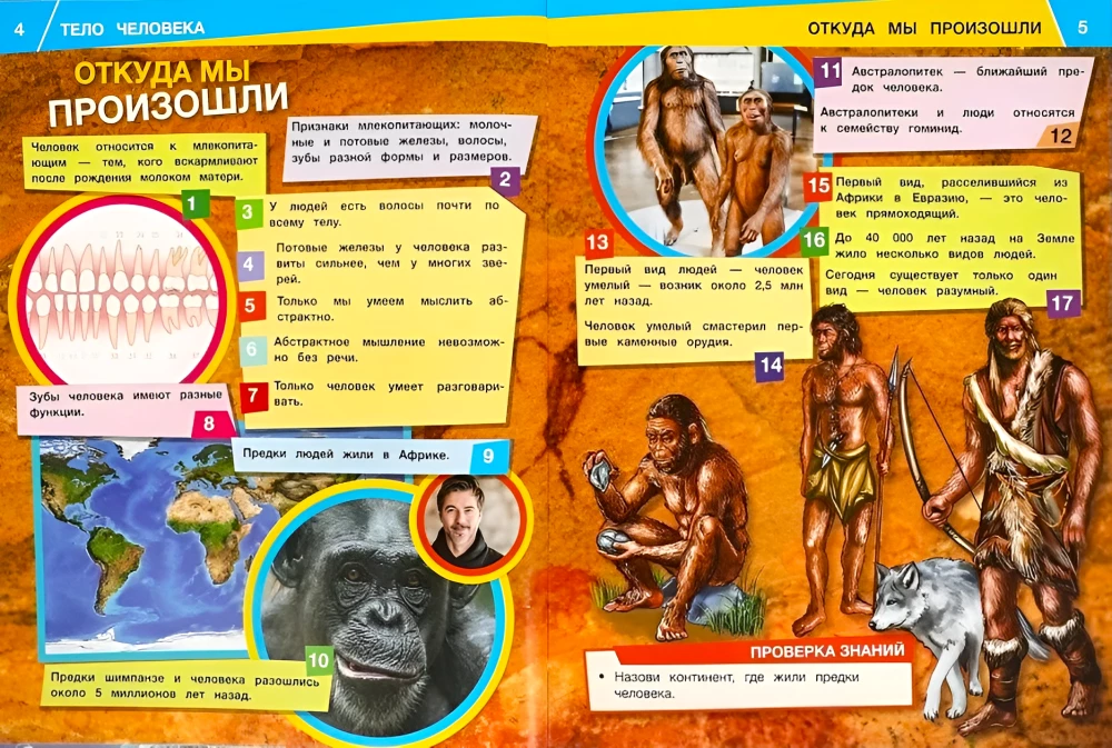 The Human Body. 1000 Facts