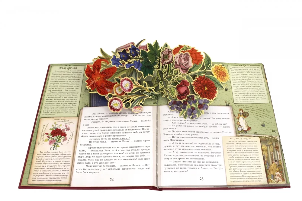 Alicja po drugiej stronie lustra