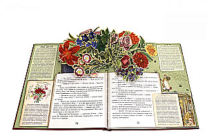 Alicja po drugiej stronie lustra