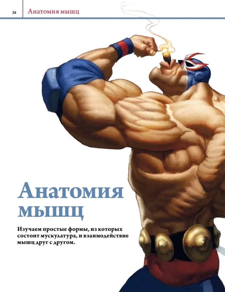 Anatomy. Creating Realistic People and Animals + Workshops via QR Code