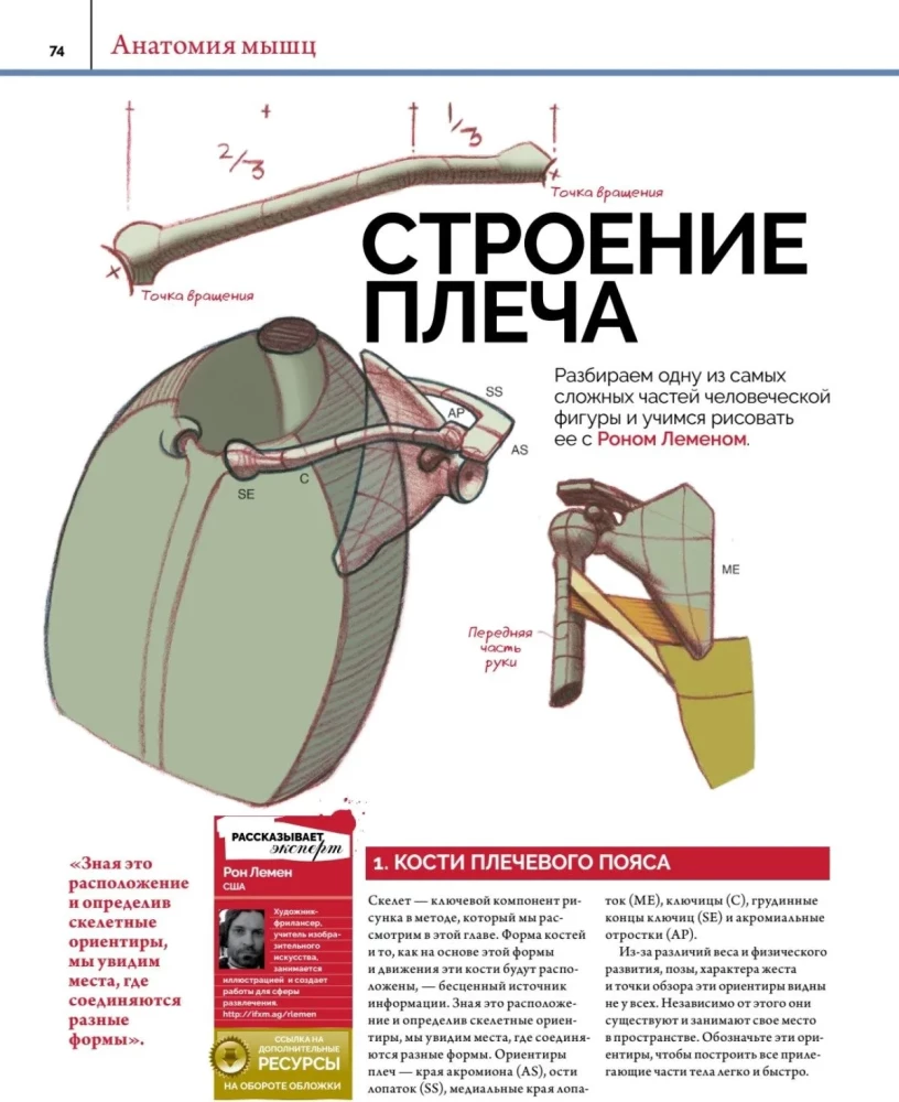 Anatomy. Creating Realistic People and Animals + Workshops via QR Code