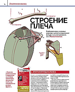 Anatomy. Creating Realistic People and Animals + Workshops via QR Code