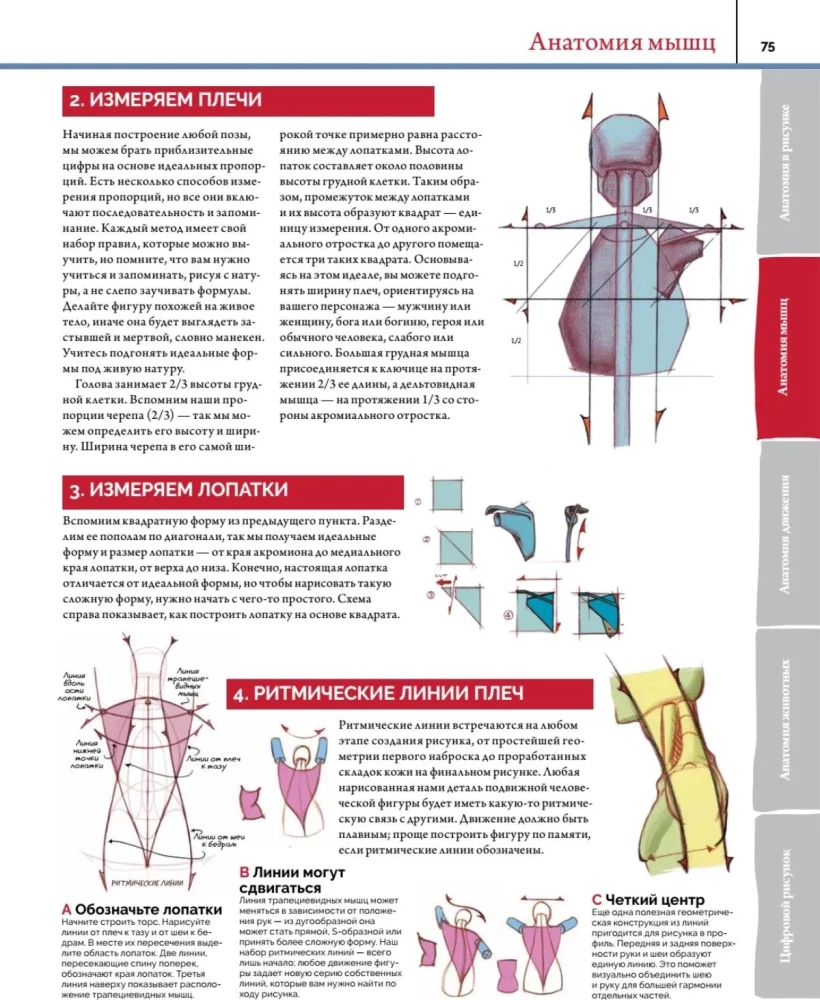 Anatomy. Creating Realistic People and Animals + Workshops via QR Code