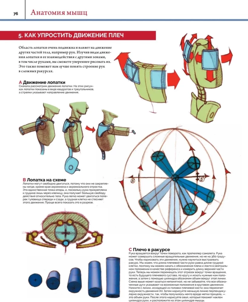 Anatomy. Creating Realistic People and Animals + Workshops via QR Code