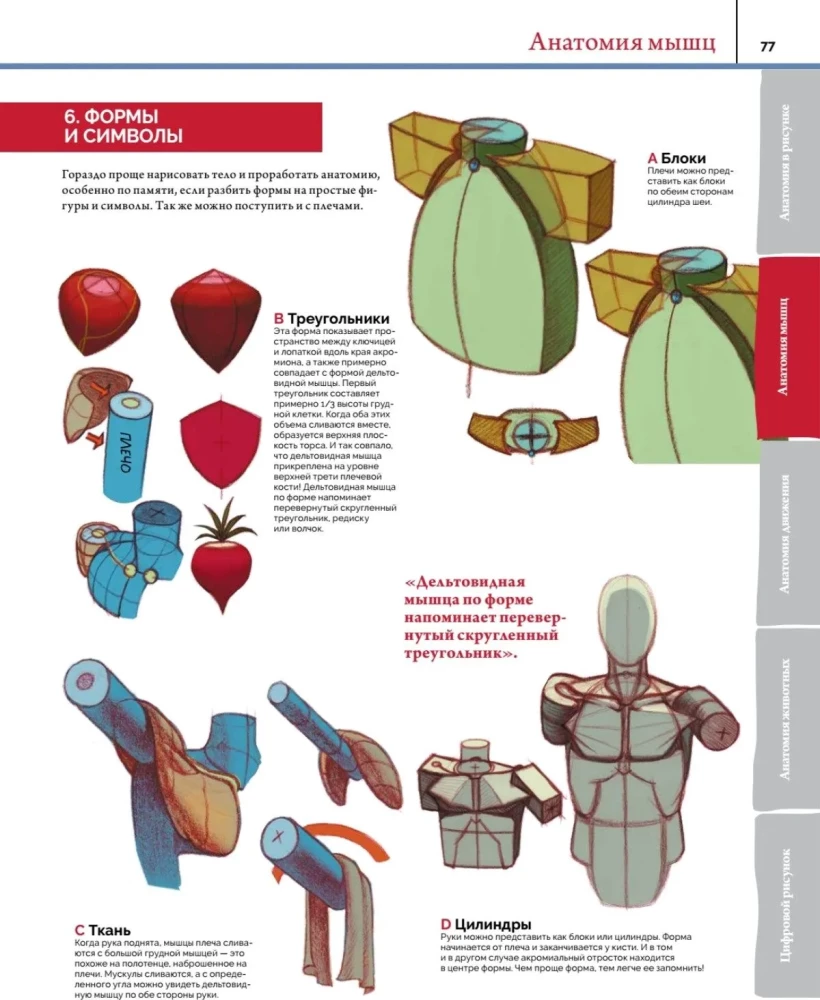 Anatomy. Creating Realistic People and Animals + Workshops via QR Code