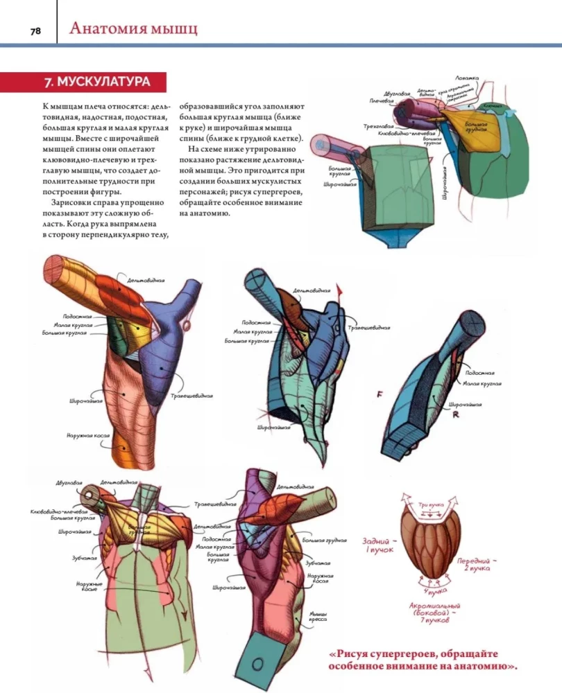 Anatomy. Creating Realistic People and Animals + Workshops via QR Code