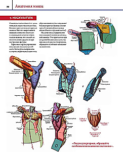 Anatomy. Creating Realistic People and Animals + Workshops via QR Code