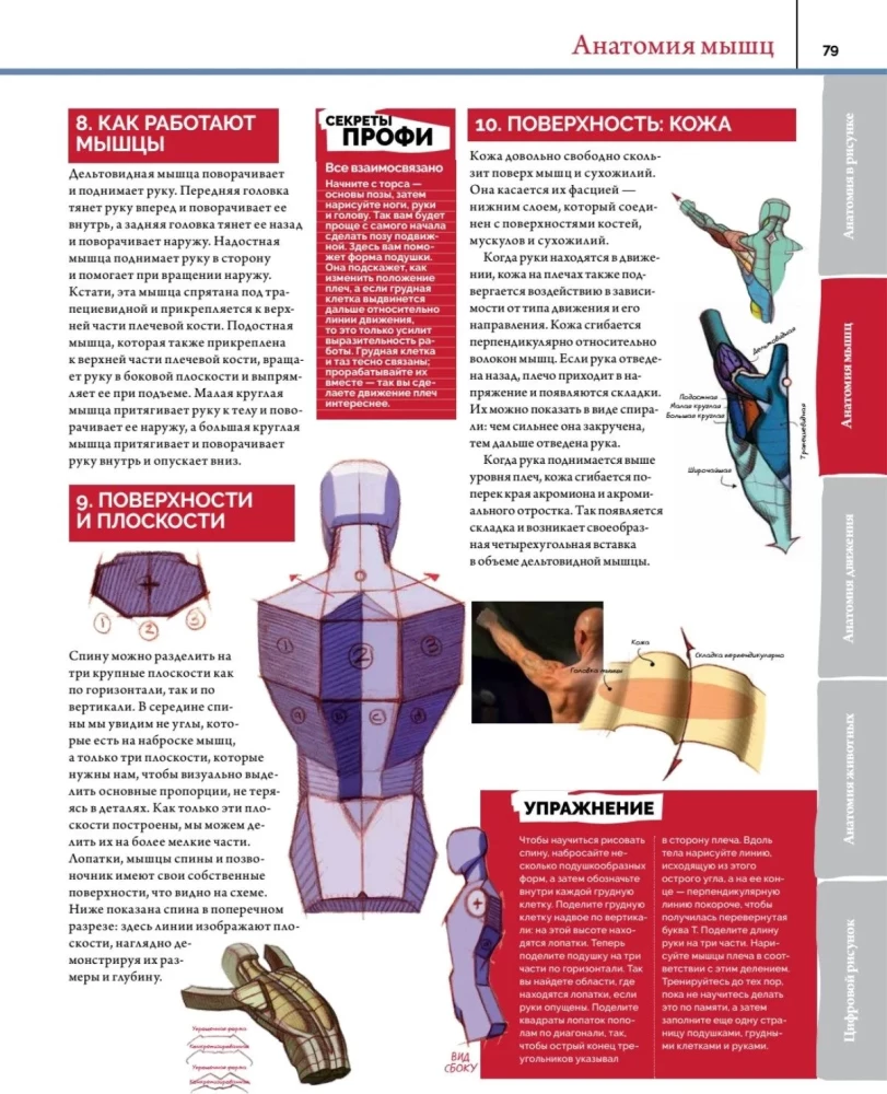 Anatomy. Creating Realistic People and Animals + Workshops via QR Code