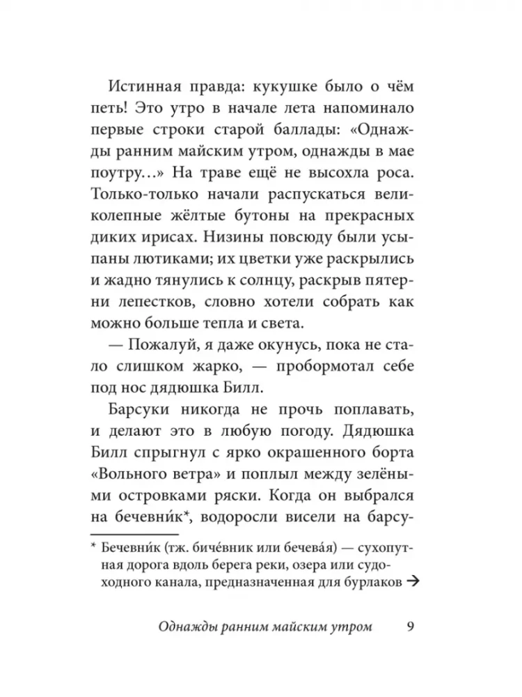 Билл Барсук и пираты