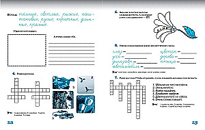 Lenos ir Mišos nuotykiai