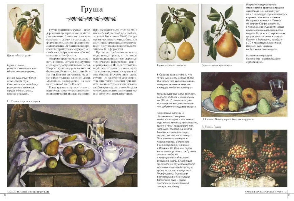 Die leckersten Gemüse und Früchte