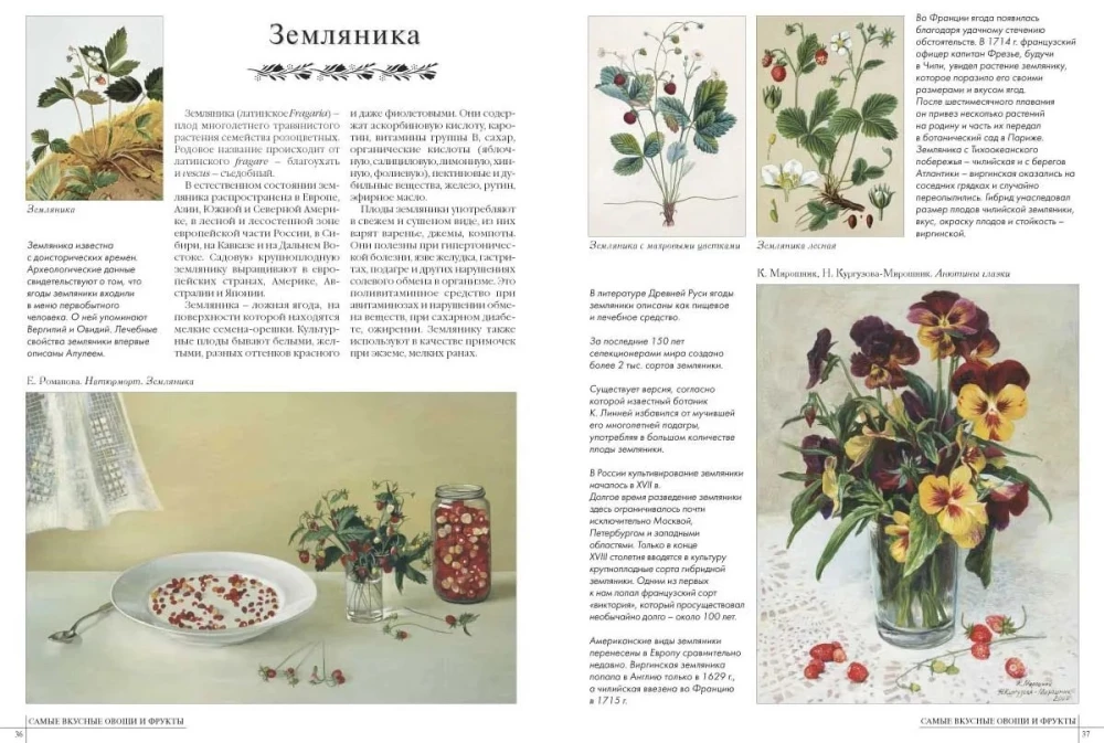 Die leckersten Gemüse und Früchte