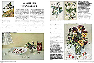 Die leckersten Gemüse und Früchte