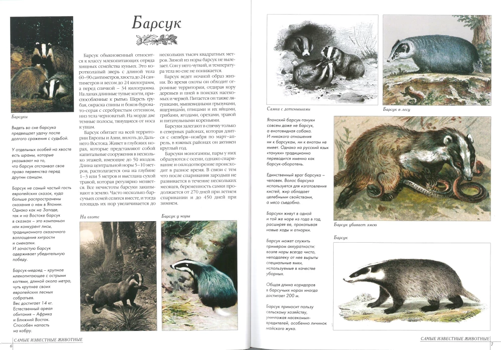 Die bekanntesten Tiere