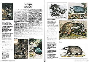 Die bekanntesten Tiere