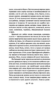 Русский лес. Рассказы русских писателей