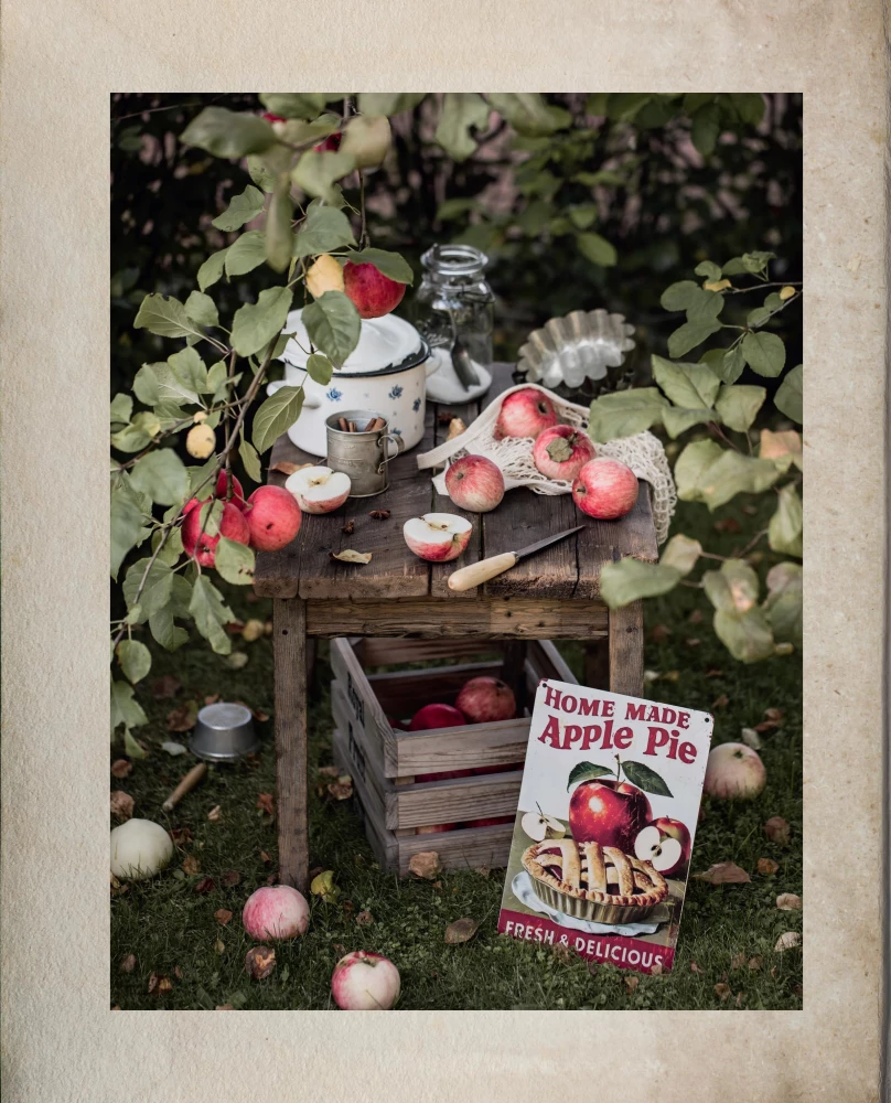 Больше чем шарлотка. Рецепты завтраков, выпечки, десертов, напитков и заготовок из яблок