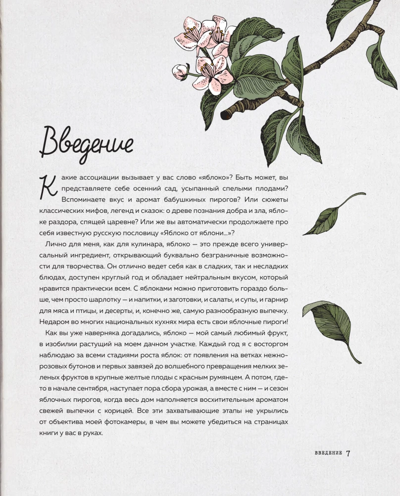 Больше чем шарлотка. Рецепты завтраков, выпечки, десертов, напитков и заготовок из яблок