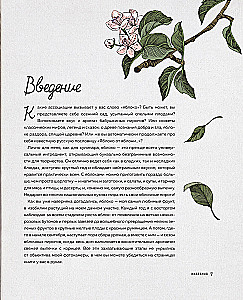 Больше чем шарлотка. Рецепты завтраков, выпечки, десертов, напитков и заготовок из яблок