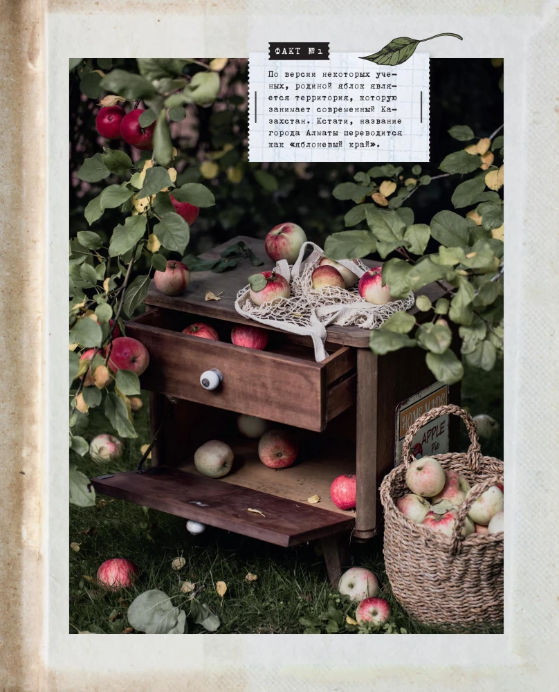 Больше чем шарлотка. Рецепты завтраков, выпечки, десертов, напитков и заготовок из яблок