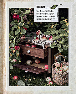 Больше чем шарлотка. Рецепты завтраков, выпечки, десертов, напитков и заготовок из яблок