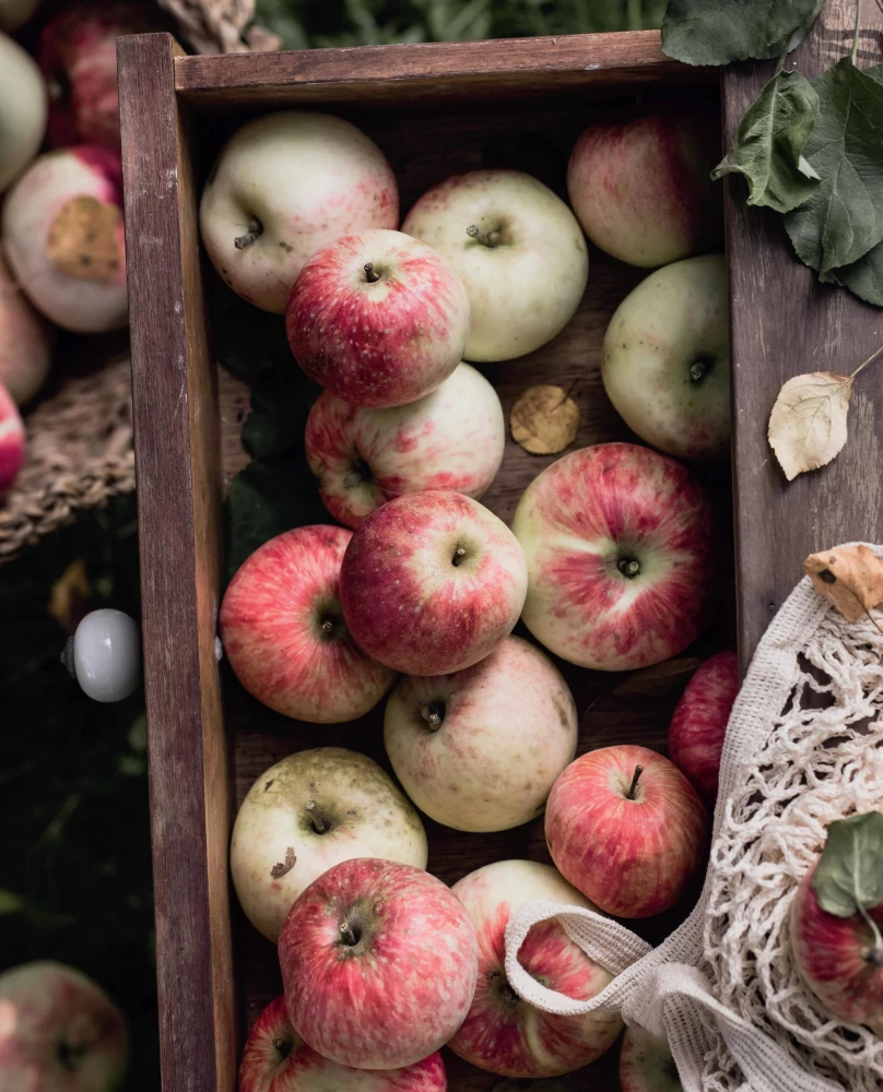Больше чем шарлотка. Рецепты завтраков, выпечки, десертов, напитков и заготовок из яблок