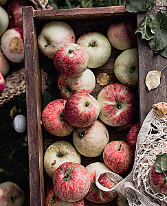 Больше чем шарлотка. Рецепты завтраков, выпечки, десертов, напитков и заготовок из яблок